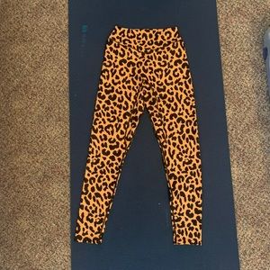 Balance Athletica Kingdom Collection